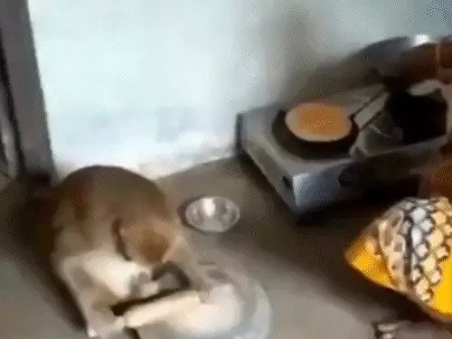 घर की मालिकन के साथ रोटी बेलते हुए।
