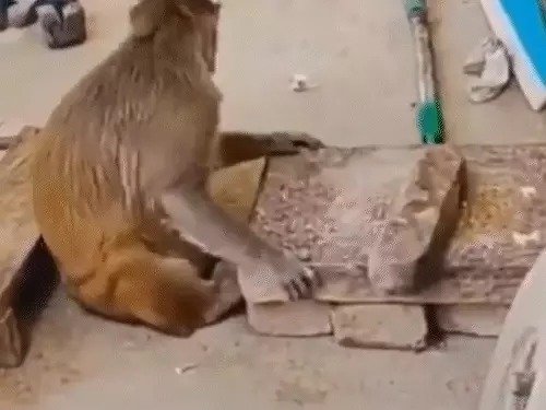 रानी सिलबट्टे पर मसाला पीसते हुए।